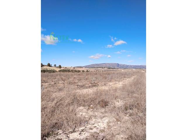 Terreno residencial en Venta en N/A en El Pinós / Pinoso