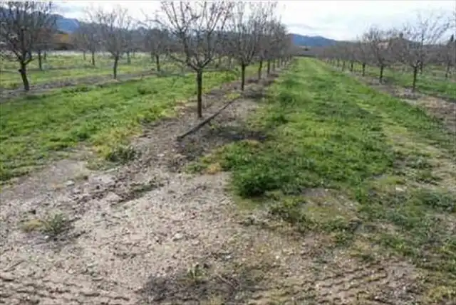 Residential land for sale in Benissanet, imagen 2