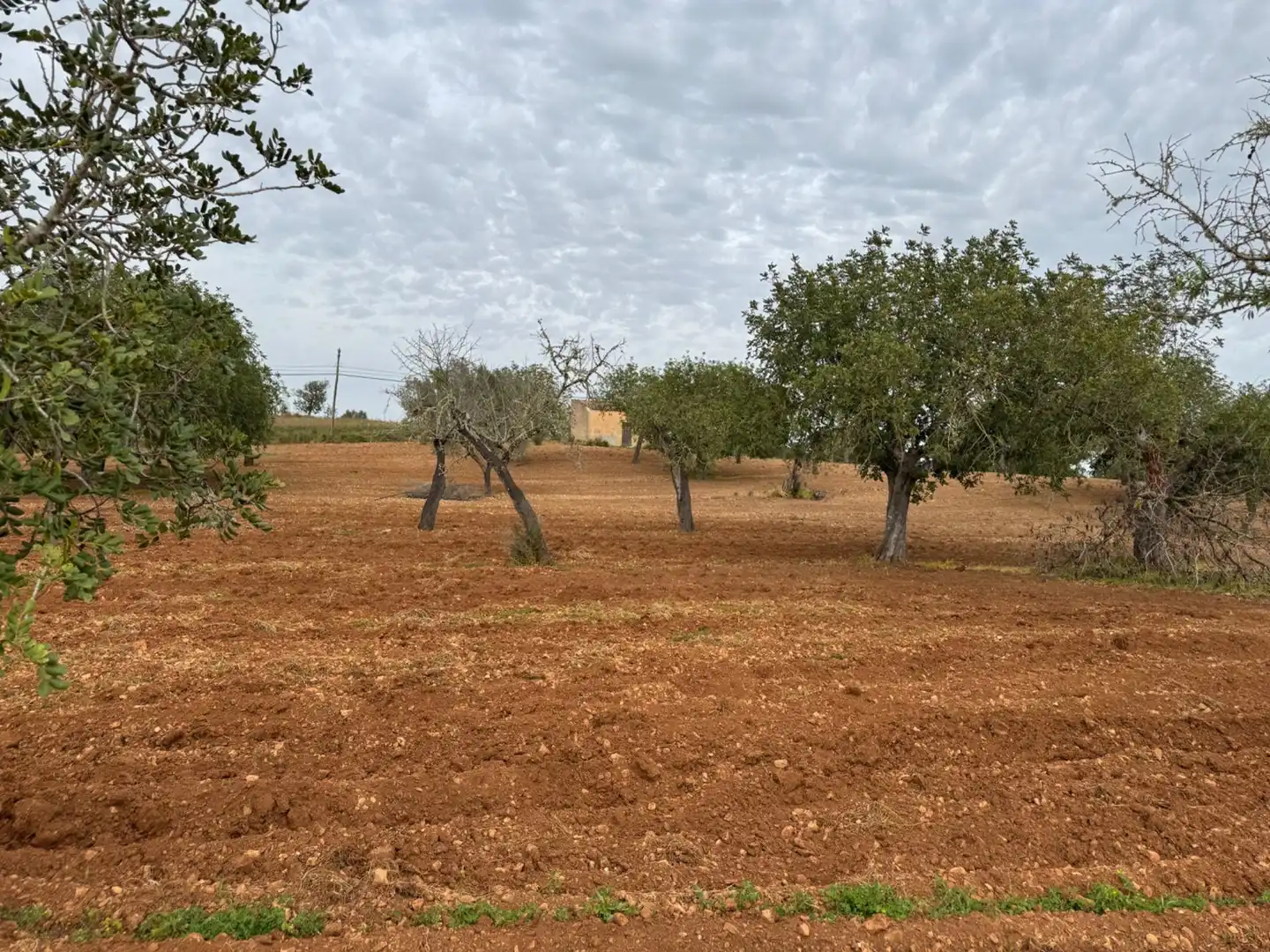 Rustikales Grundstück zum Verkauf in Camino Camí Vell de Porreres 2, imagen 36