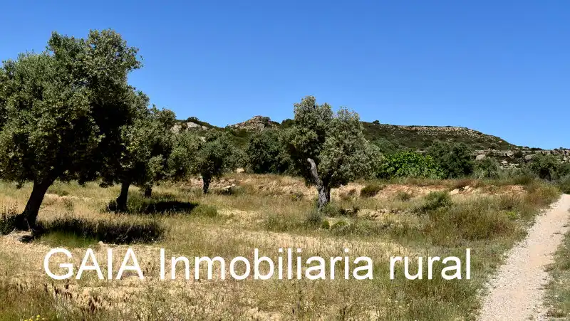 Finca rústica en venta en Maella