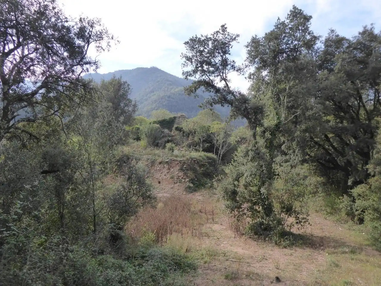Terreno residenziale in vendita a Vilanova de Sau, imagen 8