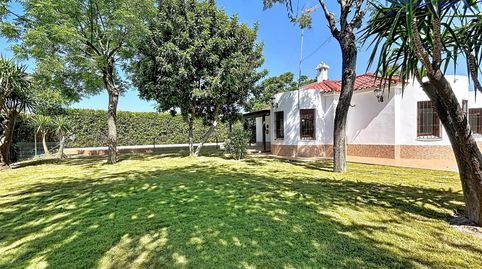 Foto 4 de Casa o chalet en venta en Loreto, Espartinas