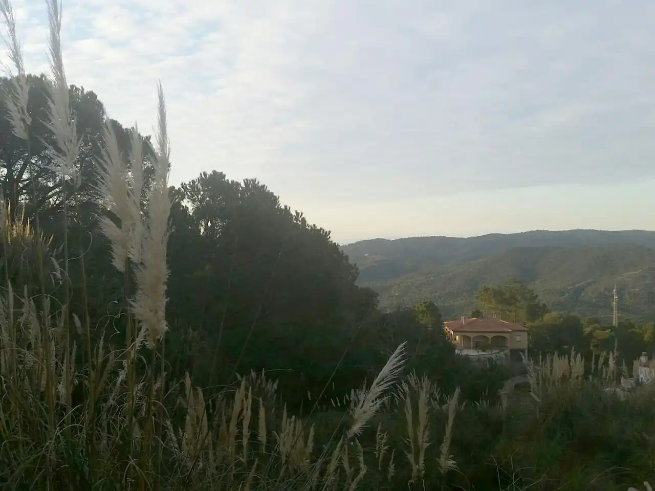 Terrenos y solares en venta en Serra Brava, imagen 7