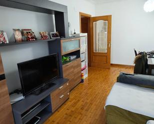 Living room of Apartment for sale in Miranda de Ebro  with Heating, Parquet flooring and Terrace