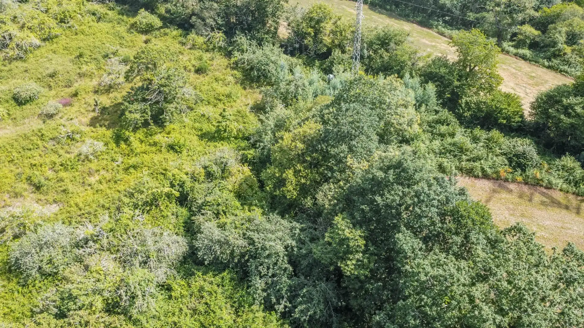 Rural land for sale in del pareo, imagen 11