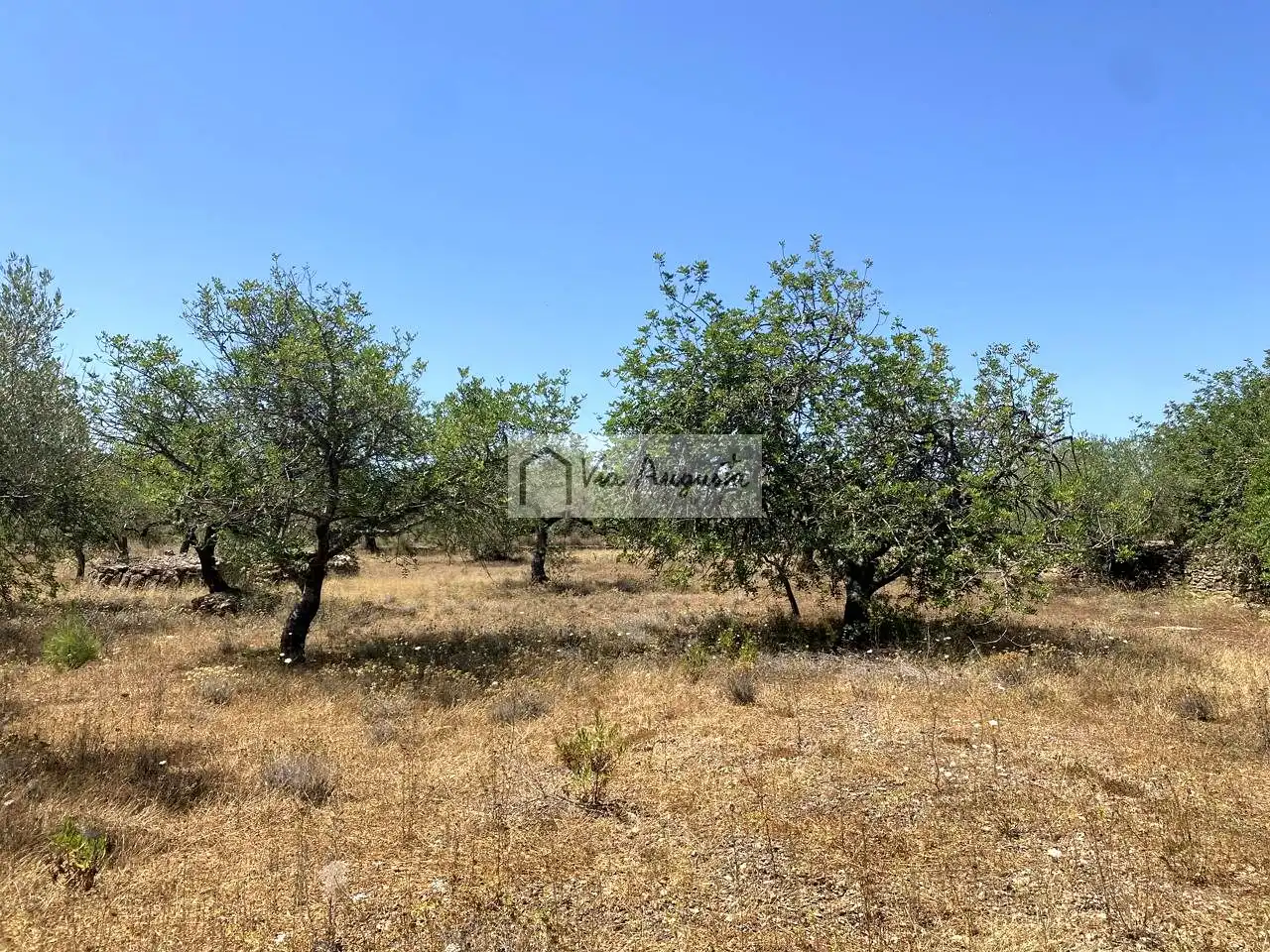 Terreno rustico in vendita a Bordes, imagen 5
