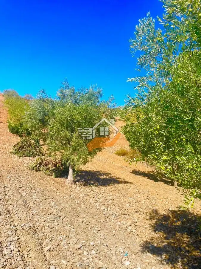 Finca rústica en venta en Lorca