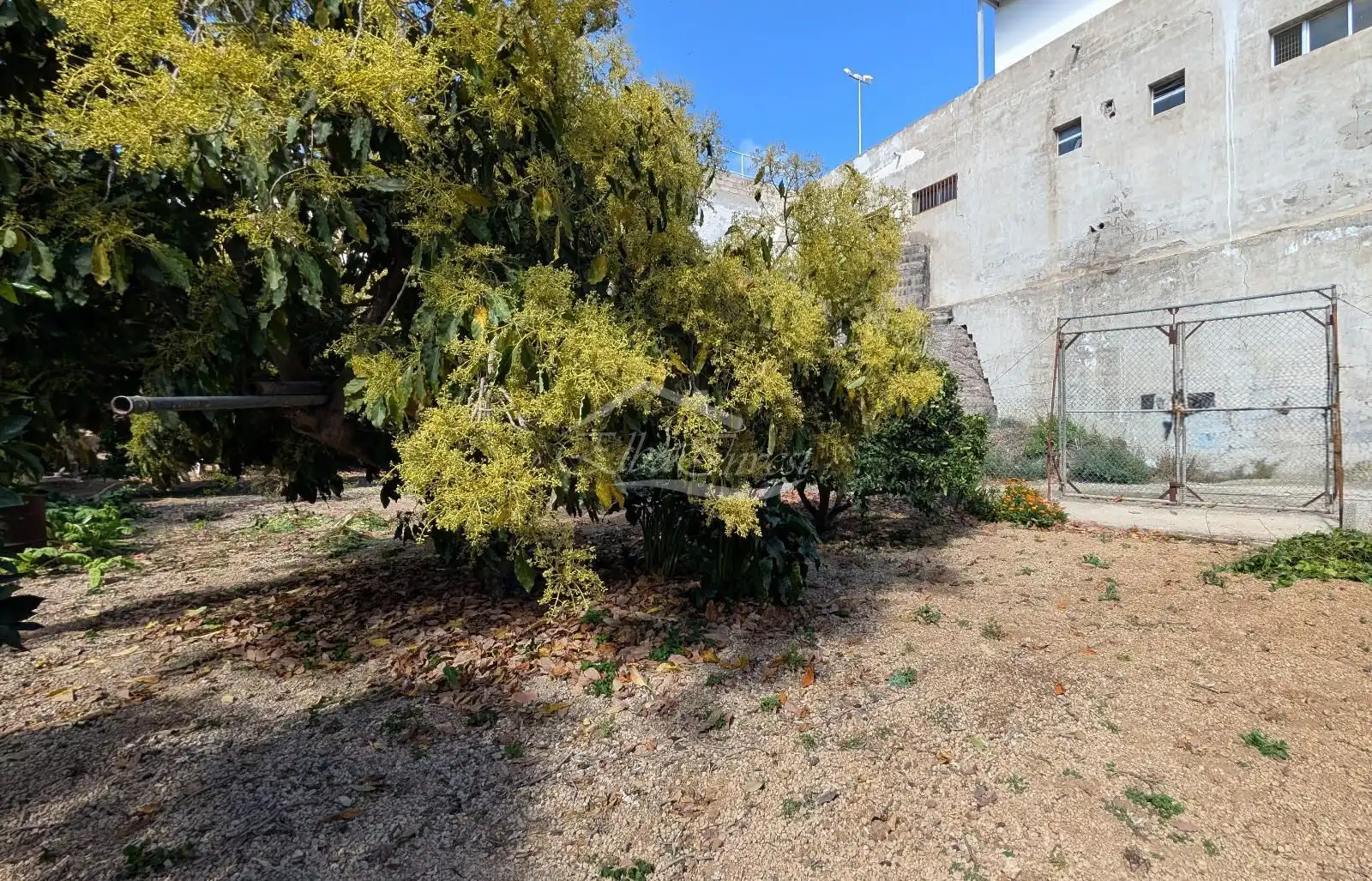 Jardín de Casa adosada en venta en San Miguel de Abona con Jardín privado, Trastero y Amueblado