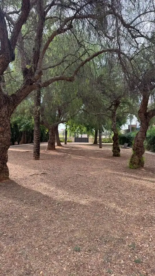 Maison à vendre à Carcaixent, imagen 33
