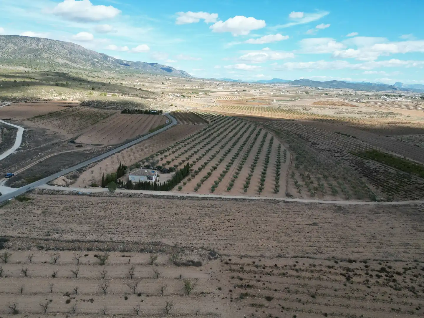 Terreno residencial en venta en El Pinós / Pinoso, imagen 2