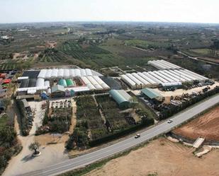 Vista exterior de Terreny industrial en venda en Riudoms