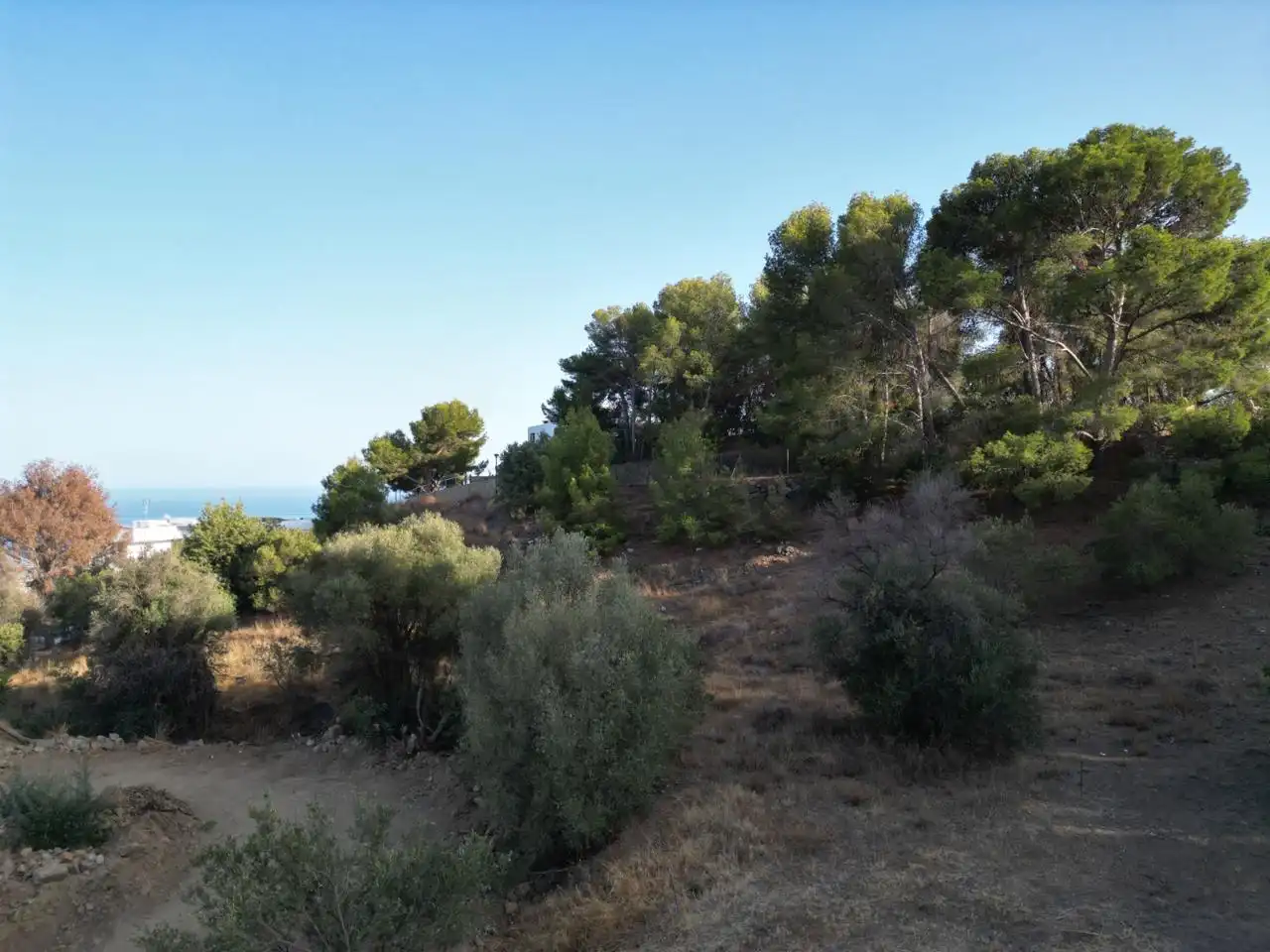 Residential zum Verkauf in La Capellanía - El Higuerón