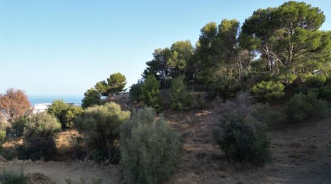 Imatge 1 de l'anunci