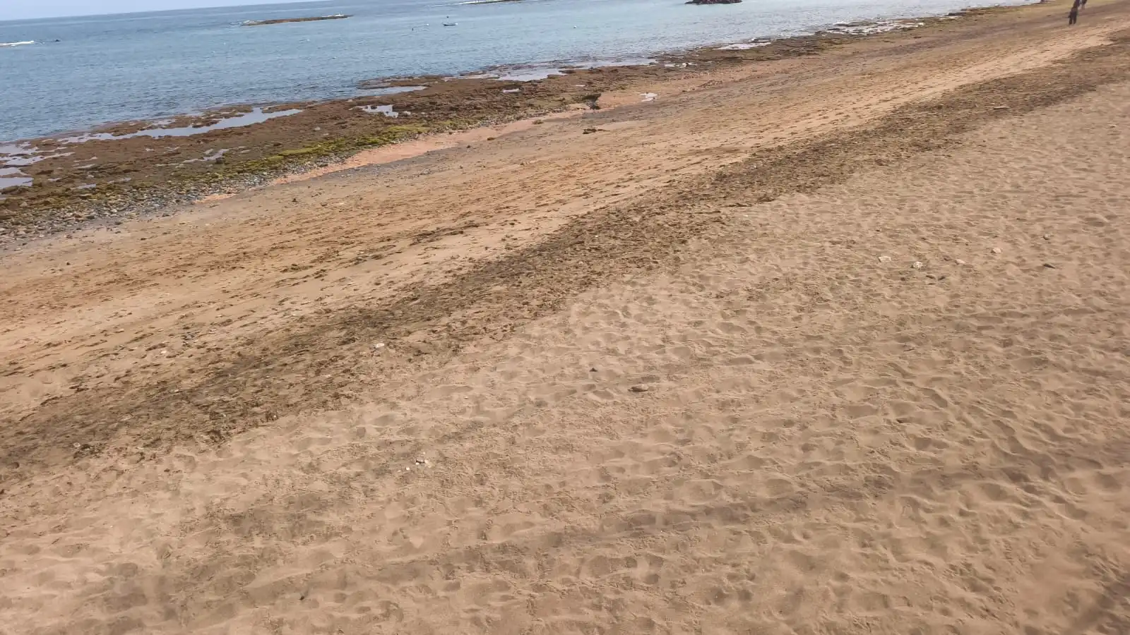 Wohnung zur Miete in Las Palmas de Gran Canaria mit Möbliert, Waschmaschine und Mikrowelle