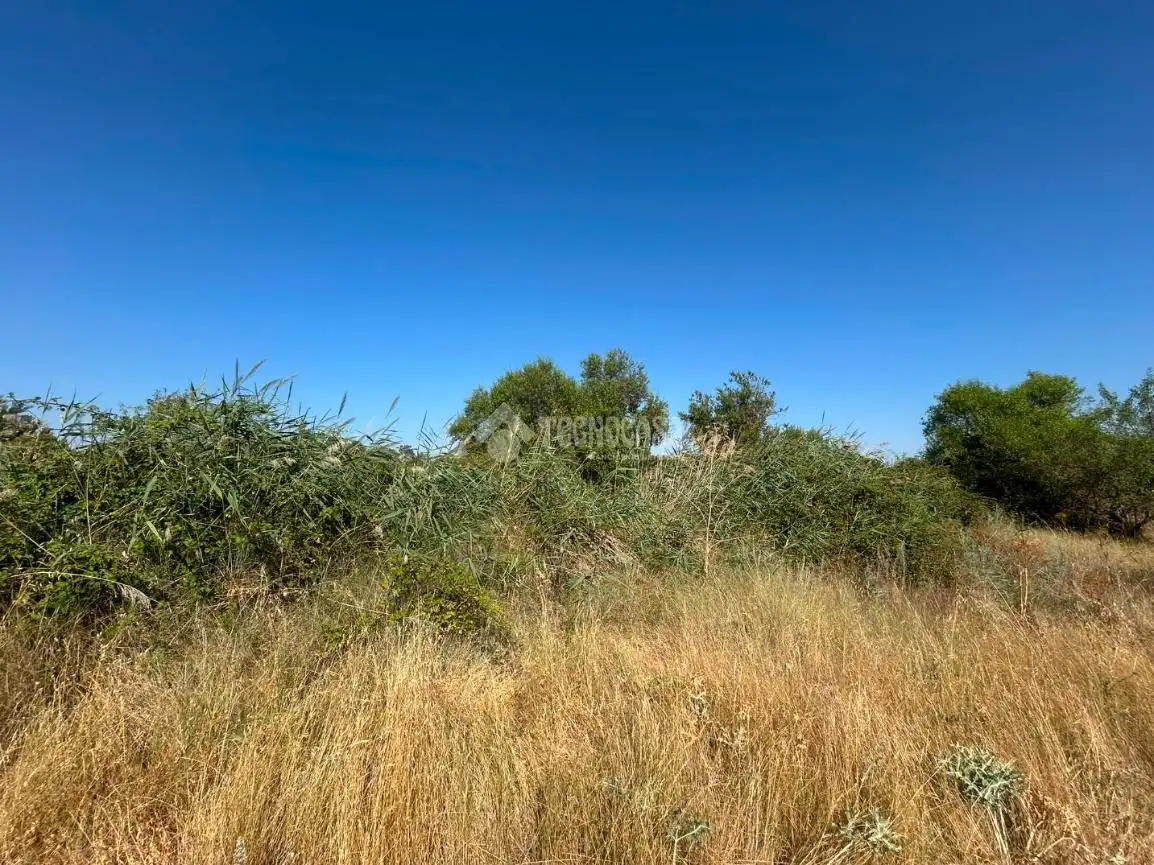 Rural land for sale in Laguna de Duero, imagen 11