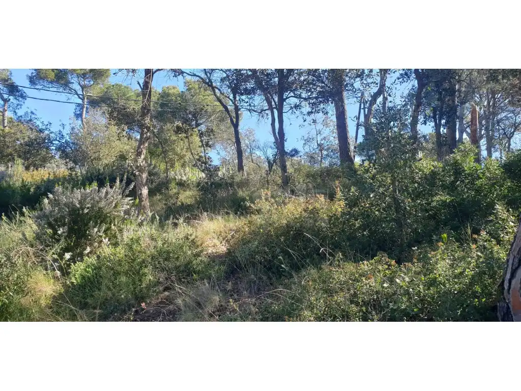 Residential land for sale in Residencial Begur - Esclanyà, imagen 9