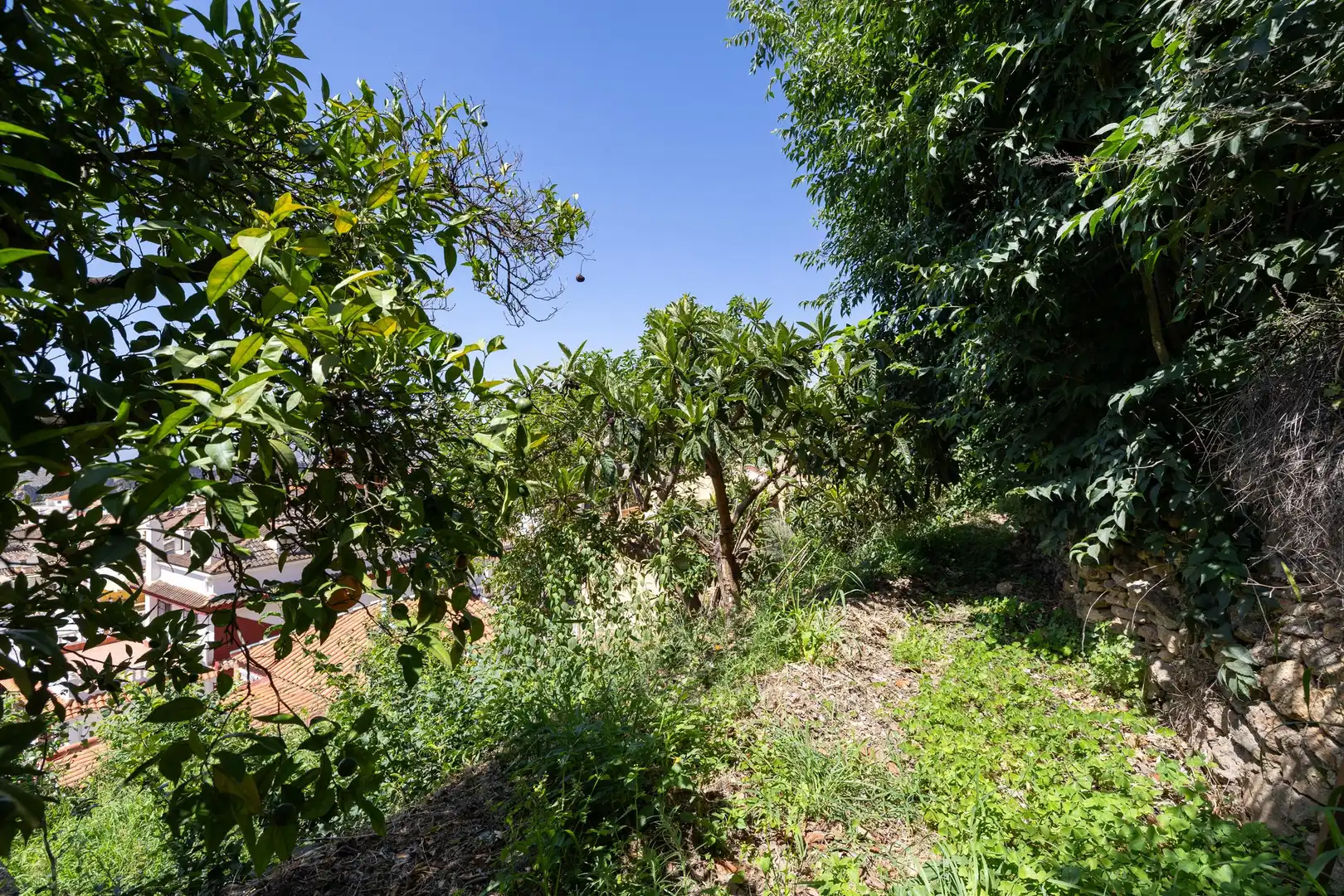 Country homes for sale in POLIGO NO 8 PARCELA 460 GRANADA LANJARON, Centro - Sagrario