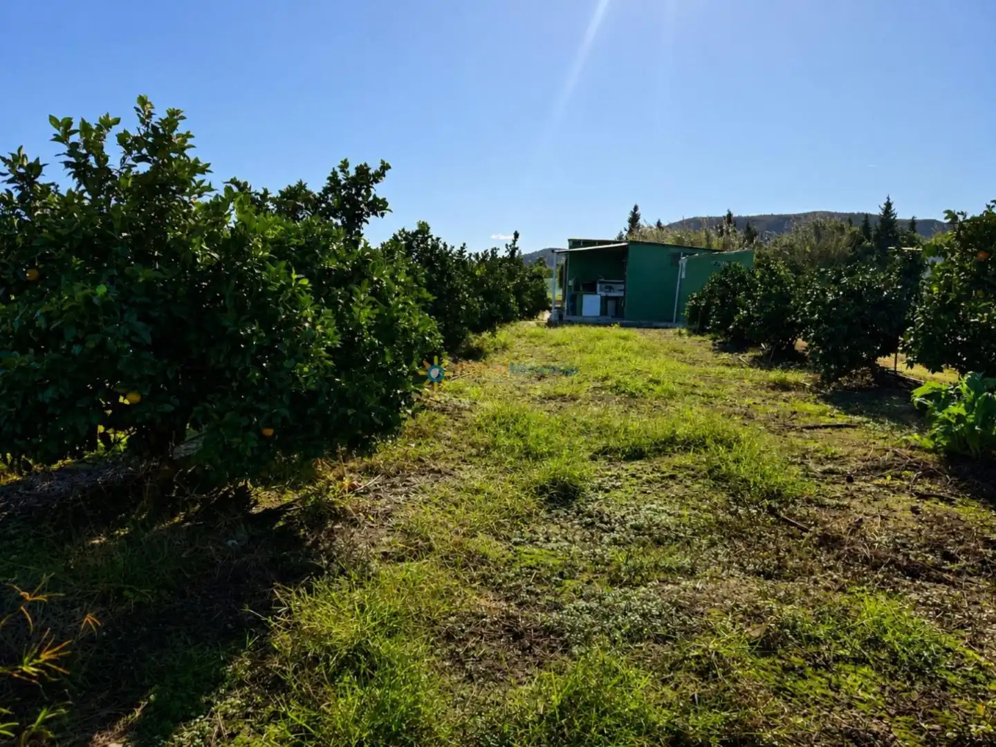 Finca rústica en venta en Xeraco con Jardín privado, Terraza y Trastero