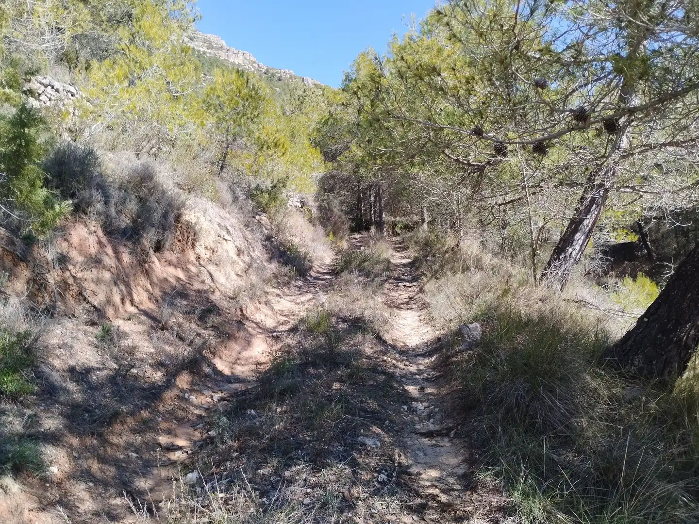 Terreno en venta en La Morera de Montsant
