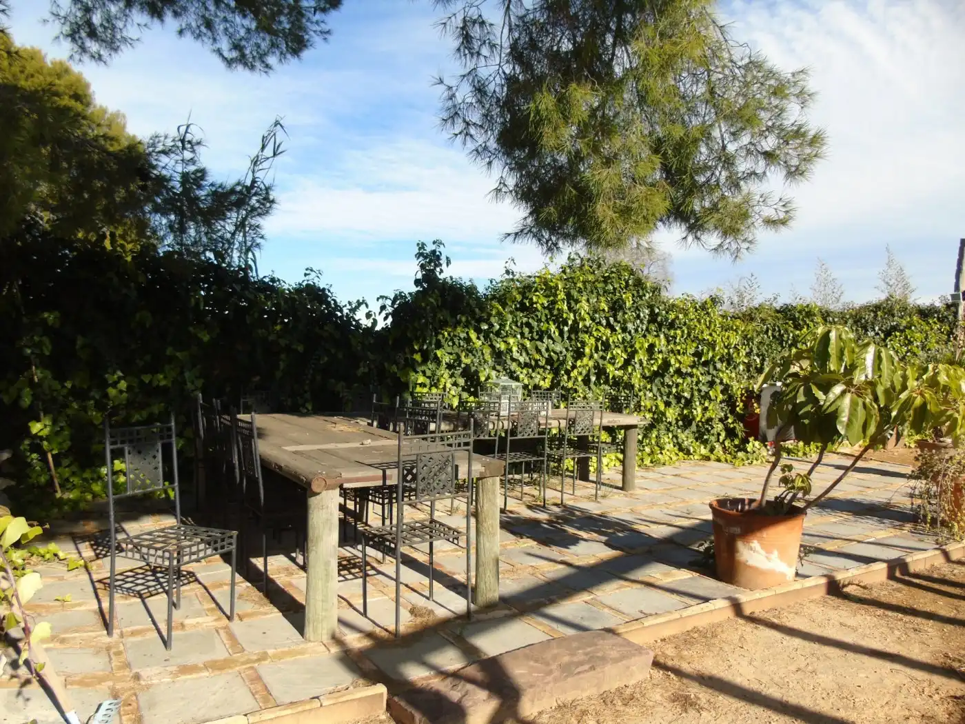 Terreno rustico in vendita a Nueva Santa Barbara - Cruz de Gracia, imagen 13