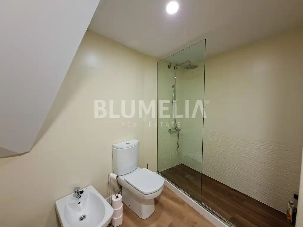 Apartments for rent in Centro Urbano