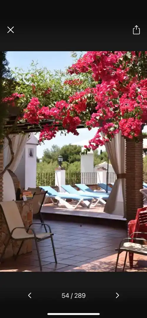 Terrasse von Wohnung zur Miete in Frigiliana
