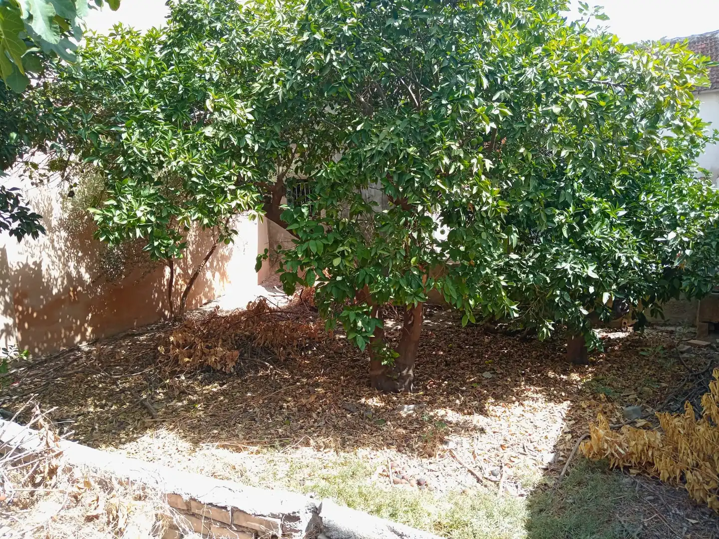 House with garden for sale in Pedanías Oeste, imagen 11