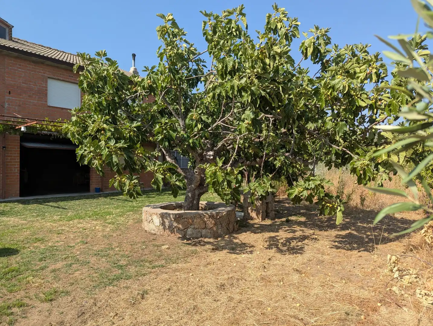 Rural land for sale in Villanueva de la Vera, imagen 11