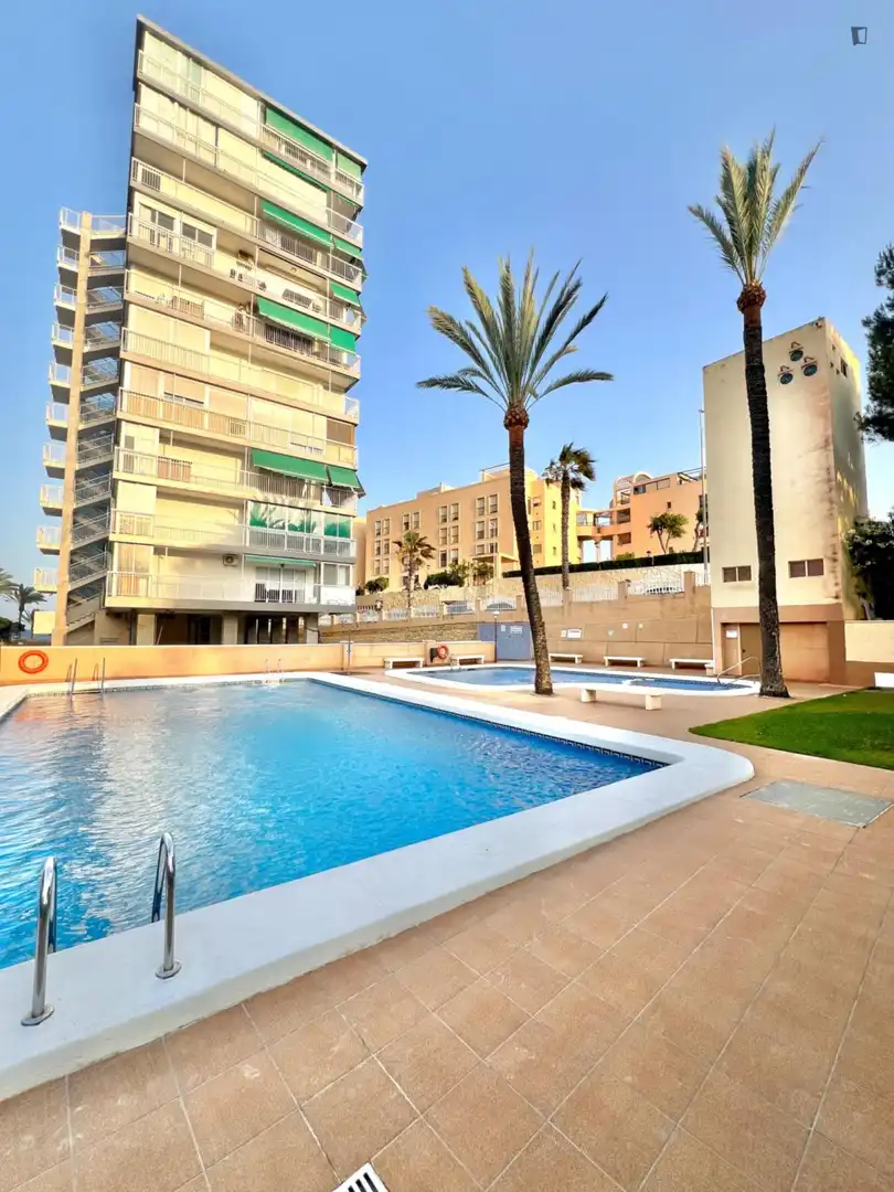 Swimming pool of Apartments for rent in El Campello  with Air Conditioner, Furnished and Oven