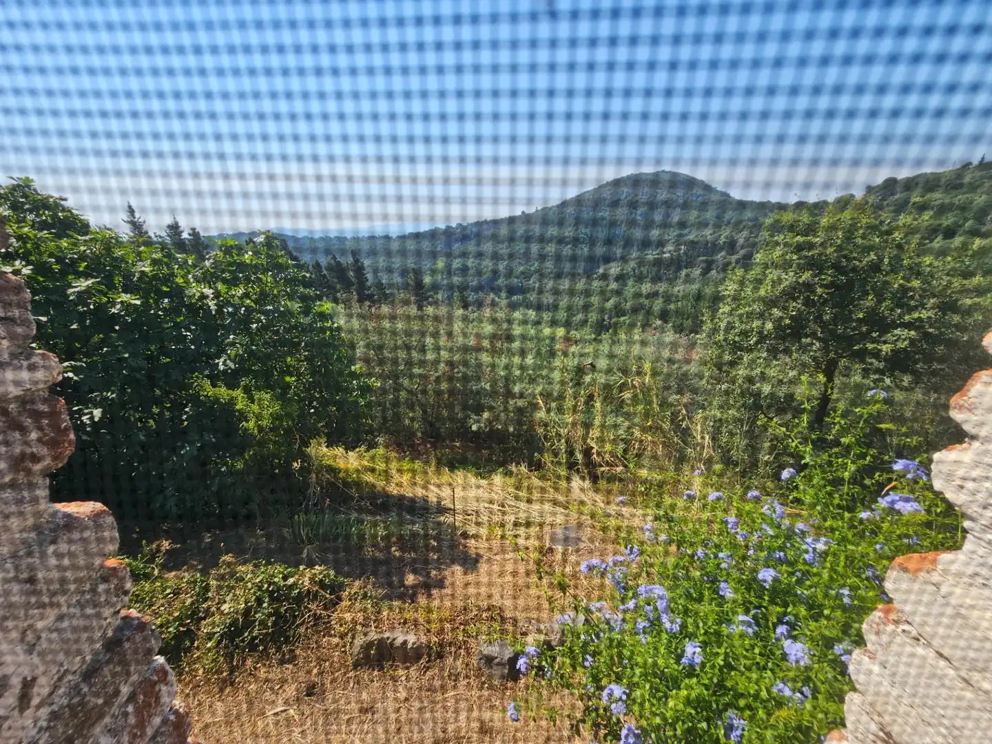 Finca rústica en venda en Riells i Viabrea amb Jardí privat i Traster