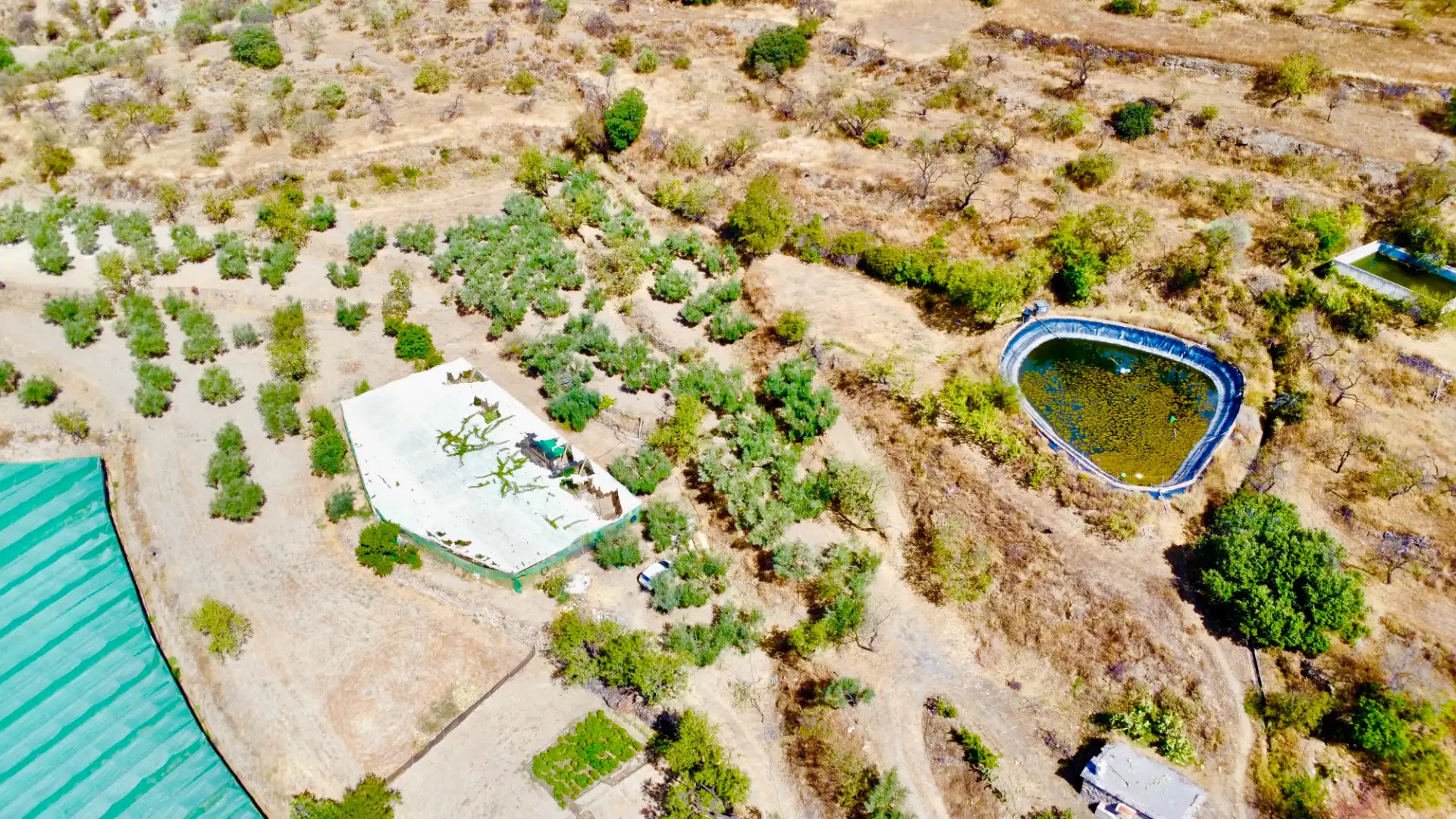 Terreno rustico in vendita a N/A, imagen 18