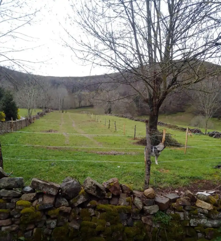 House for sale in Vega de Pas, imagen 10