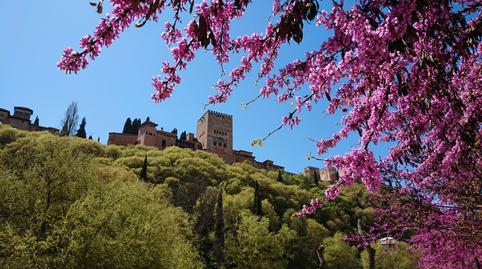 Photo 3 of Flat to rent in Calle Espino, 11, Barrio de Albaicín, Granada