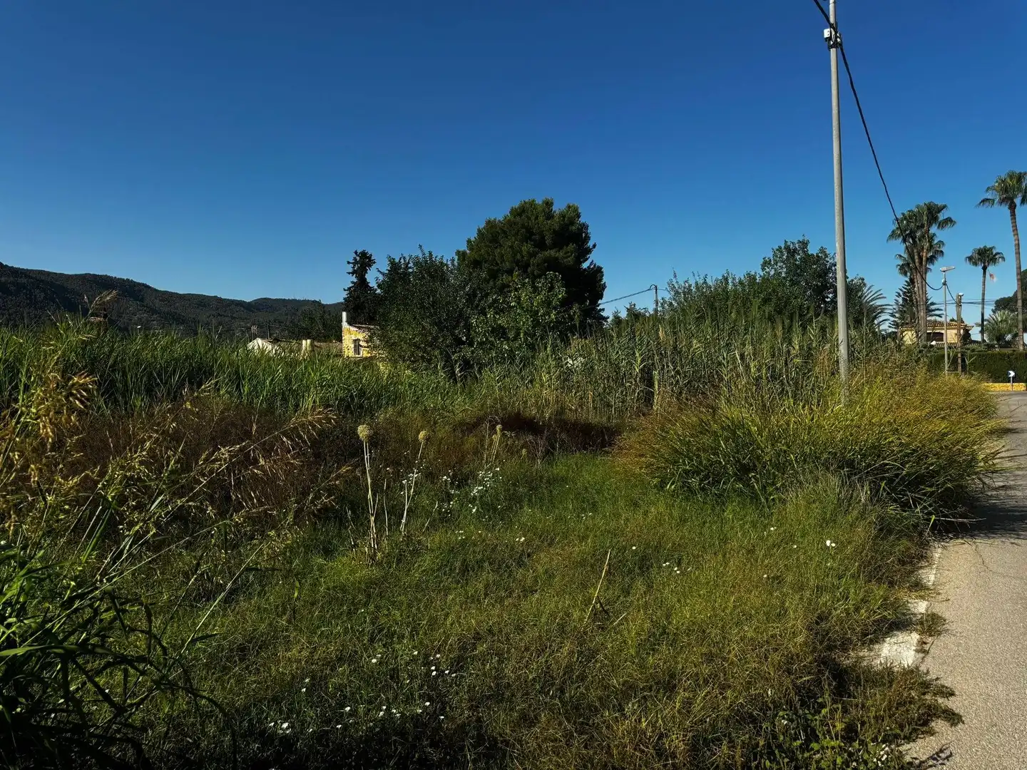 Terrenys i solars en venda a Pedanías Este, imagen 5