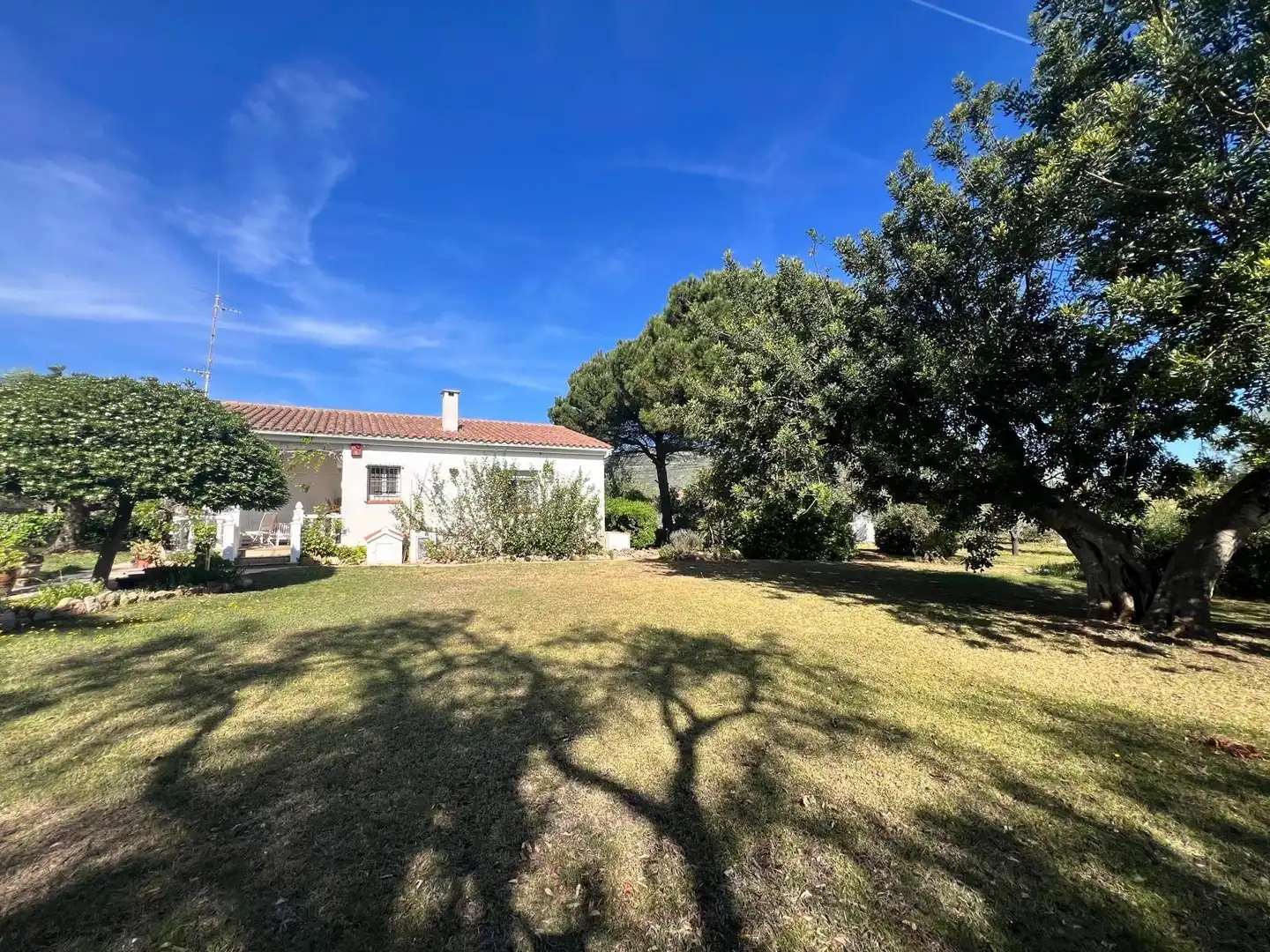 Garten von Haus oder Chalet zum Verkauf in La Ràpita mit Privatgarten, Terrasse und Möbliert