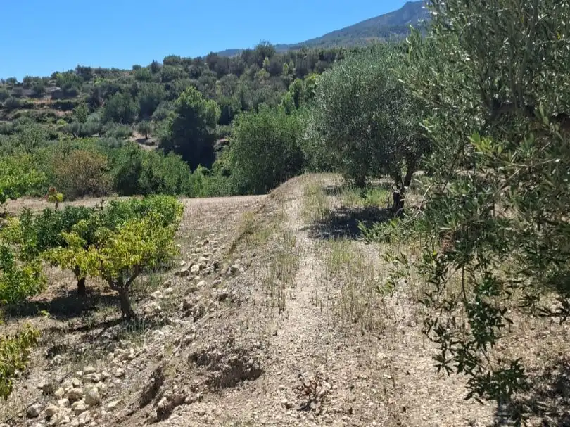 Grundstücke zum Verkauf in Beniardà