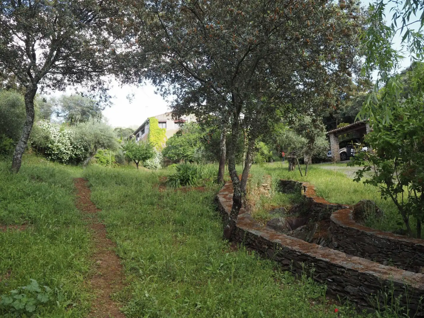 Houses for sale in Madroñera - LAS ANIMAS, Madroñera