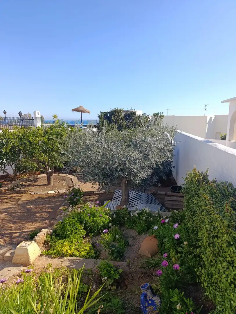 Detached house with terrace for sale in El Palmeral, imagen 40