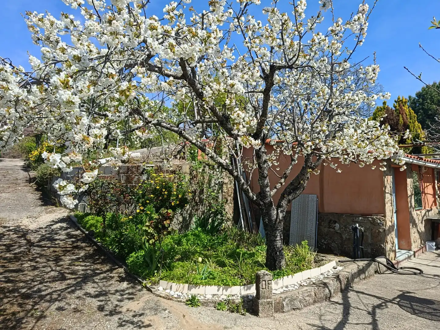 Garden of Land for sale in Jarandilla de la Vera