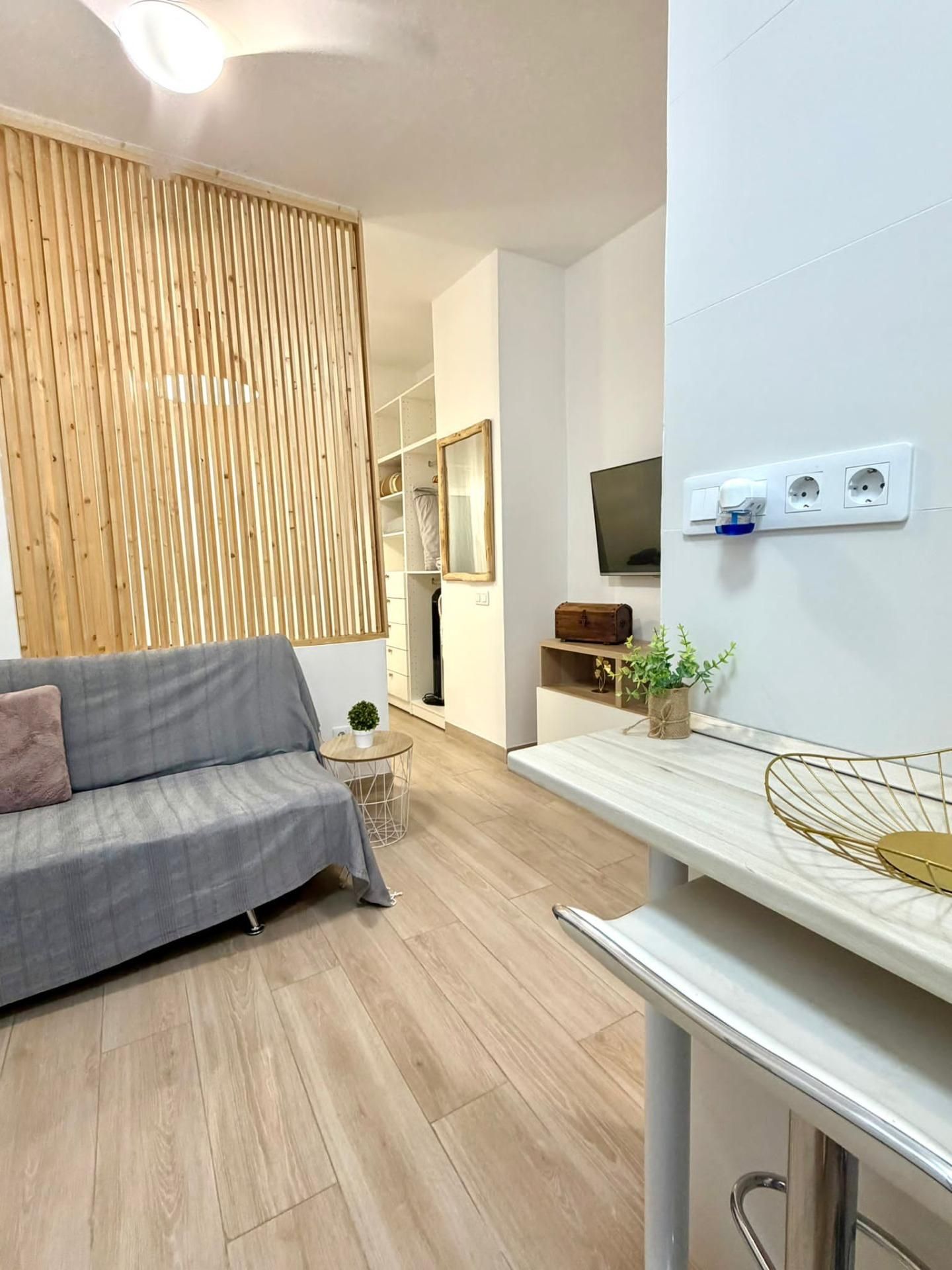 Sala d'estar de Estudi de lloguer en Las Palmas de Gran Canaria amb Moblat