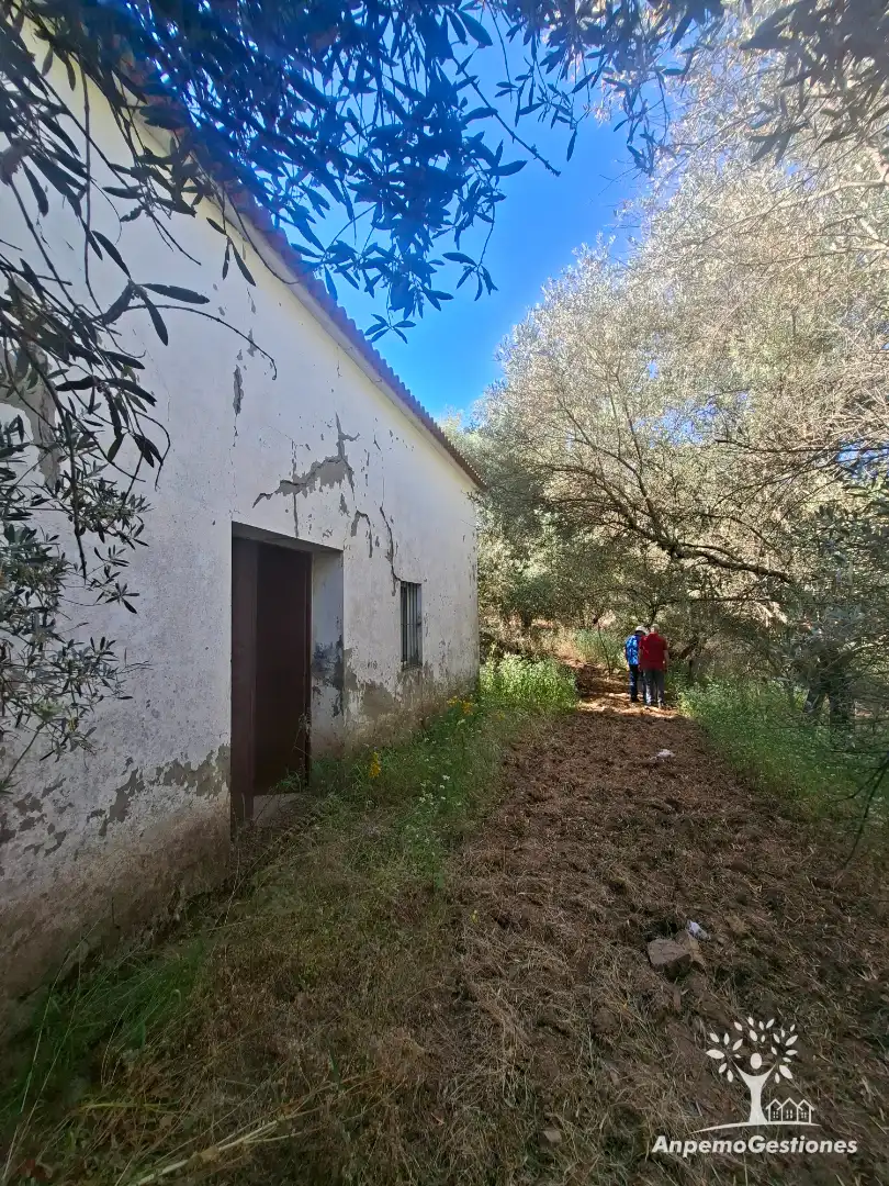 Land for sale in Las Navas de la Concepción