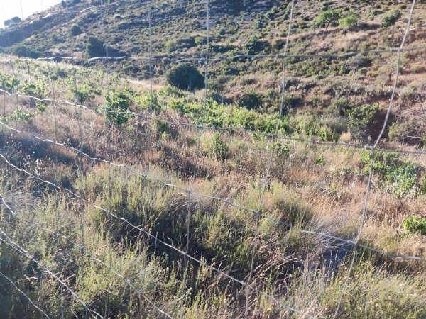 Terreno en Venta en Calle Calle Estación en Albuñuelas