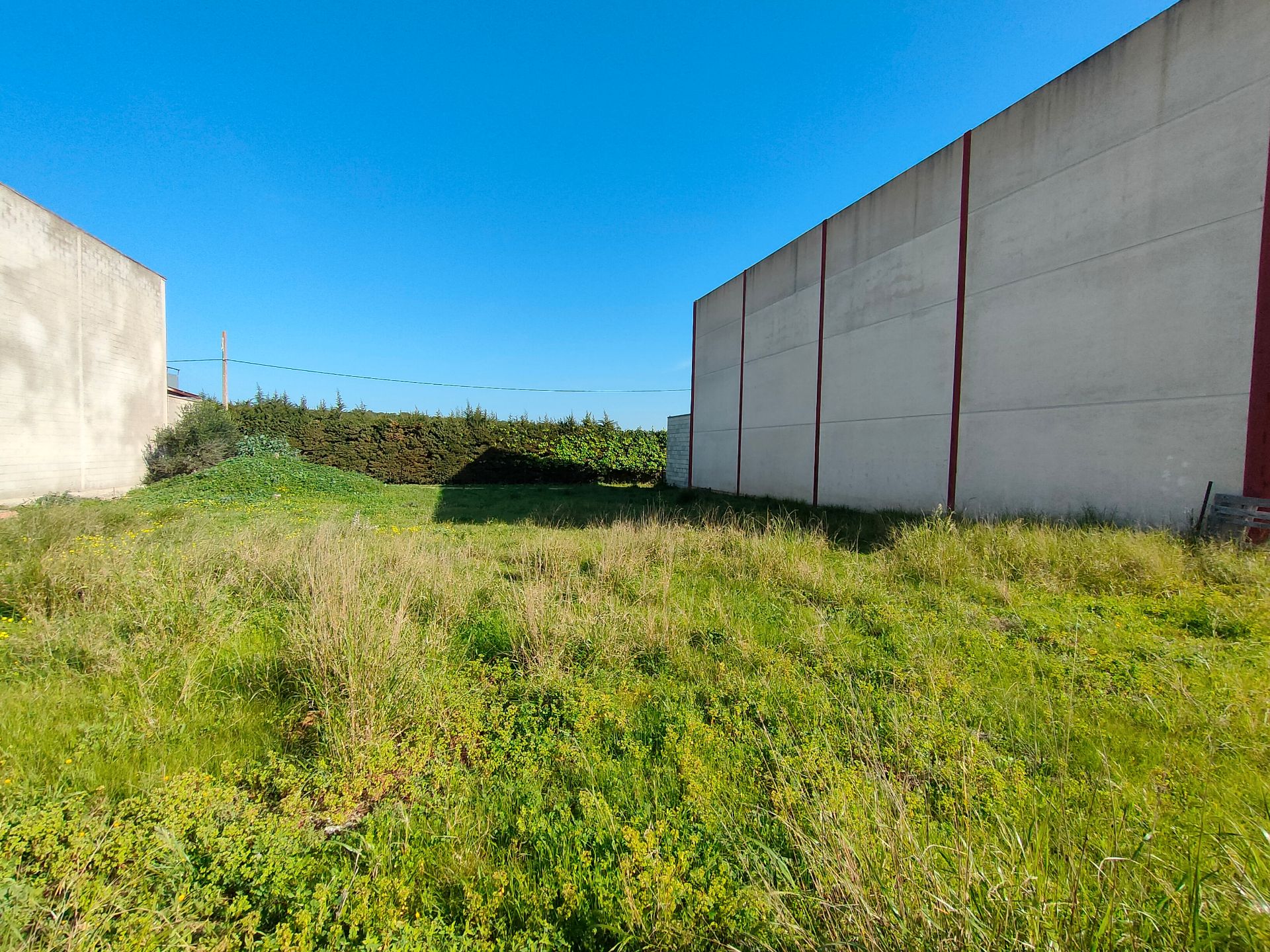 Industrial land for sale in Benalup-Casas Viejas