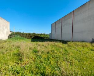 Industrial land for sale in Benalup-Casas Viejas