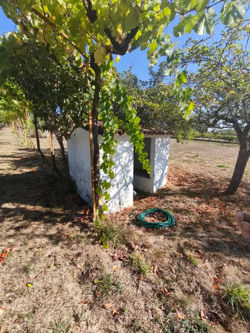 Chalet con terraza en venta en Coles, imagen 43
