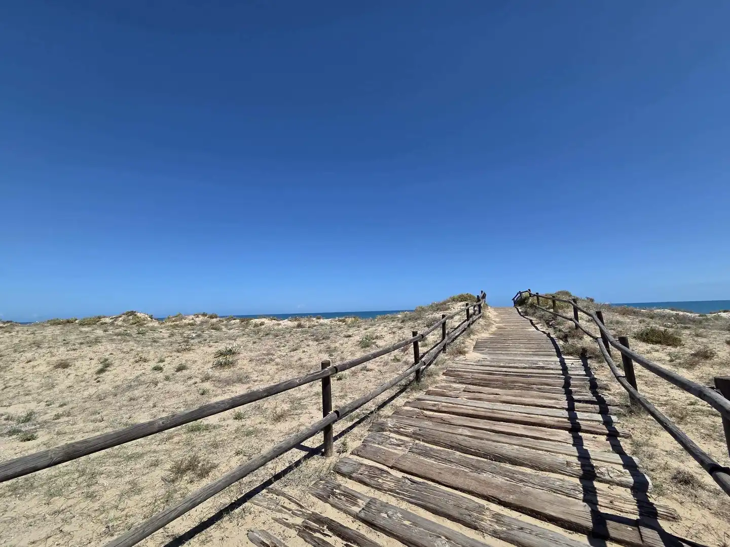 Apartamento en alquiler en Piles, imagen 35