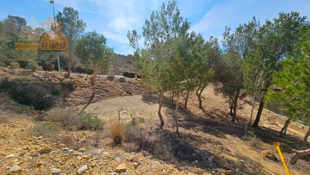 Terreny residencial en venda a Calle Castillo de Caravaca, imagen 6