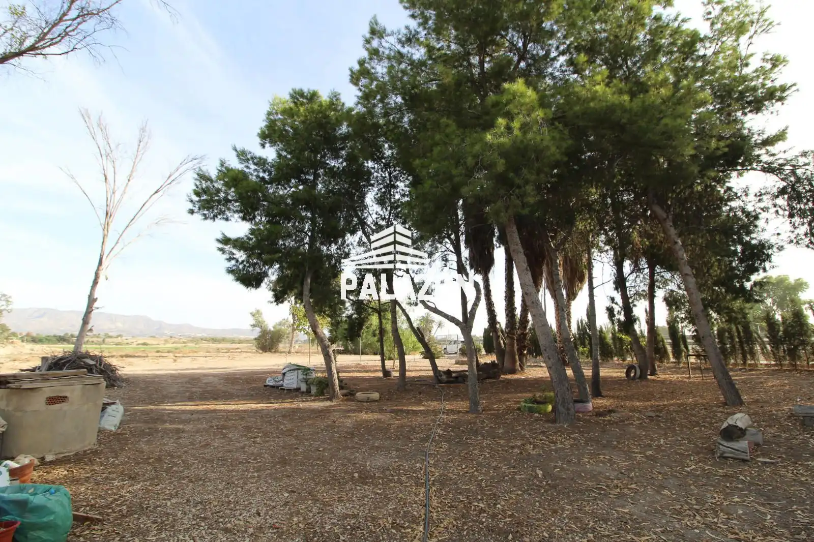 Terreno rustico in vendita a Crevillent, imagen 8