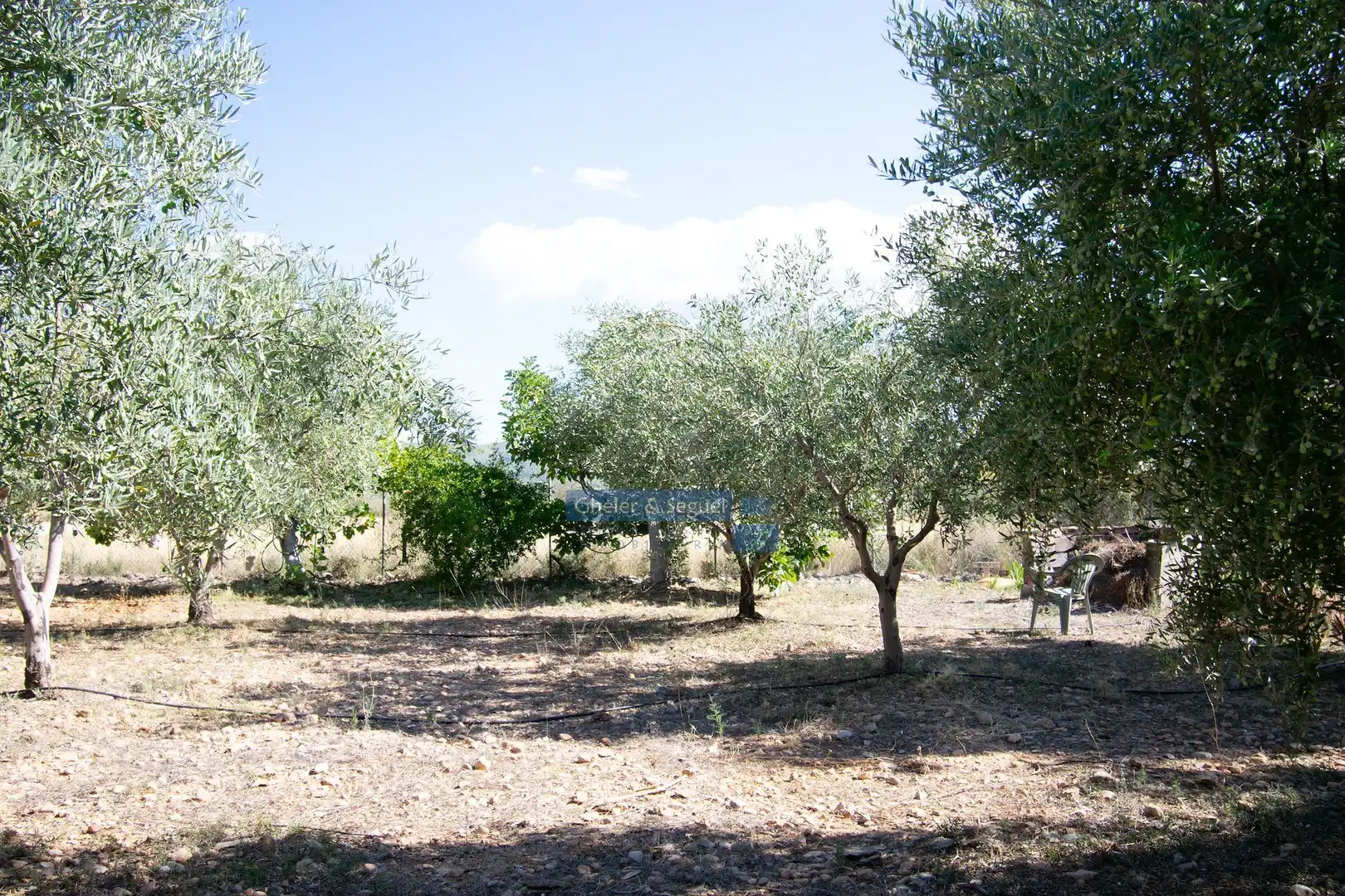 Finca rústica en venda en Llíria