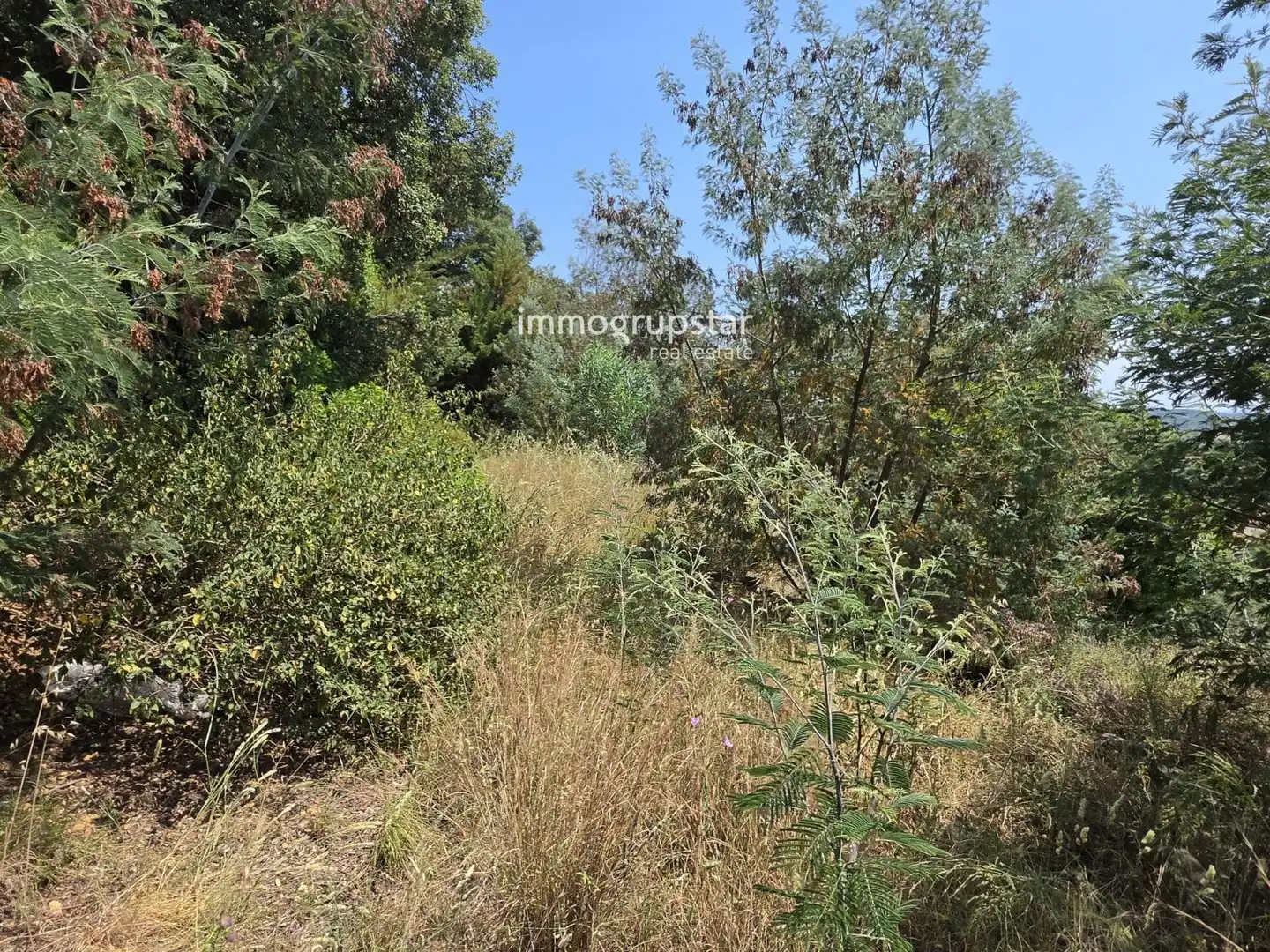 Terreny rústic en venda a de la Selva, 108B, imagen 13